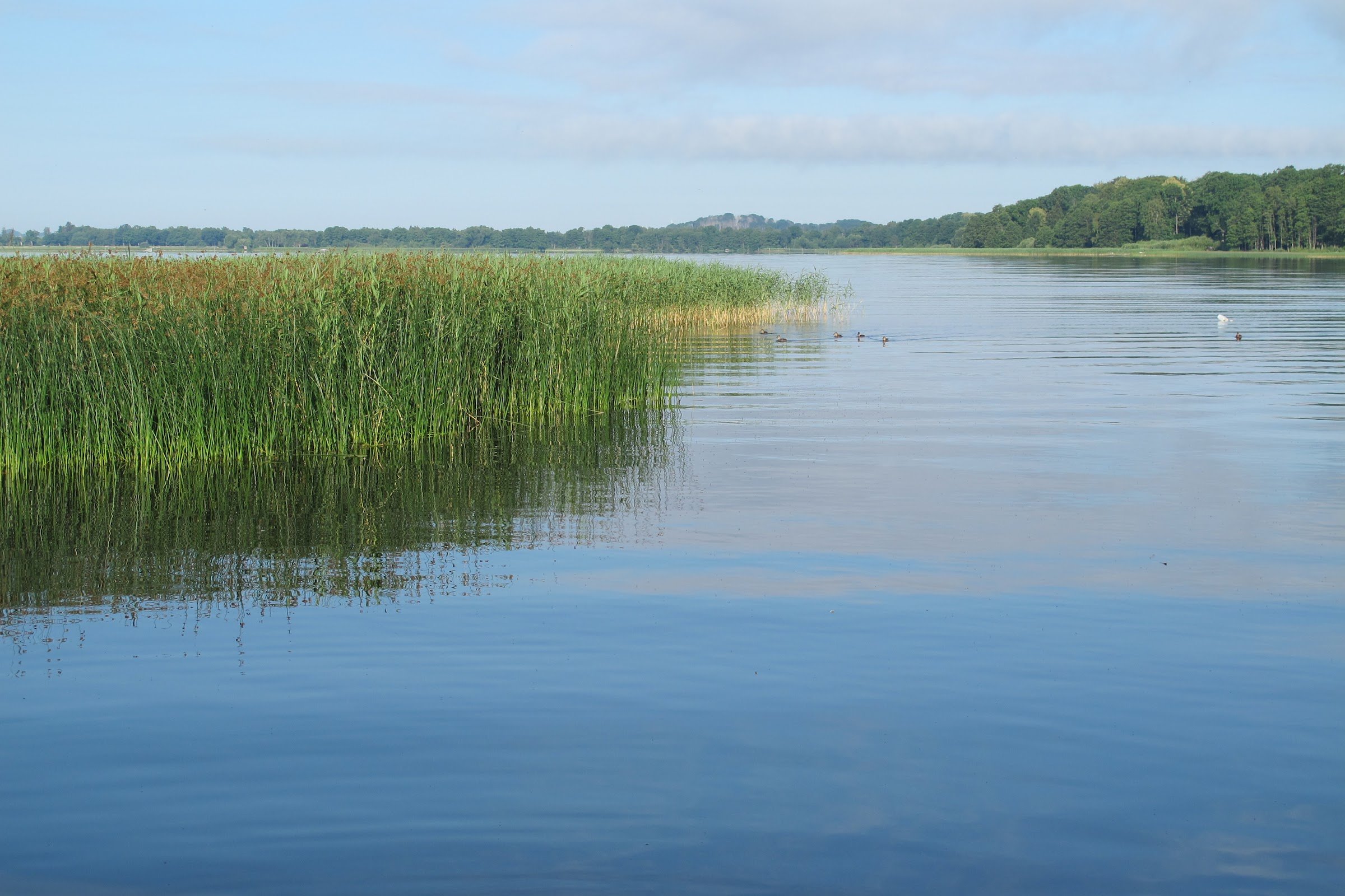 Jägersbo Camping (Höör)